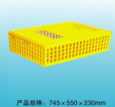 F004 組合（hé）式鴿用周轉箱